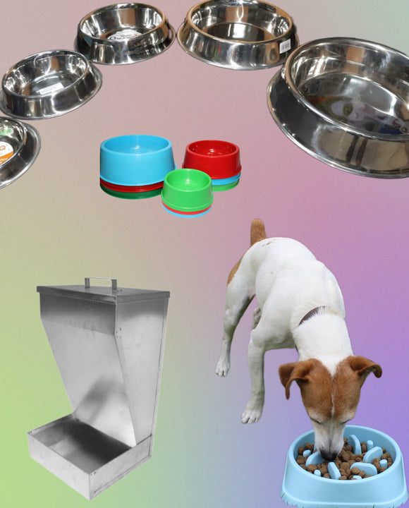 Dog bowls and feeders