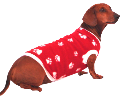 Sporty Dog Jerseys - Kunduchi Pet Products