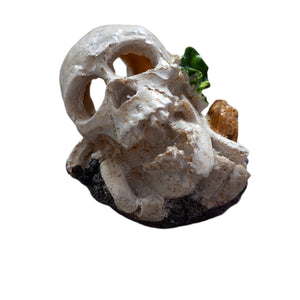 SKULL ORNAMENT SMALL (7cm) - In Stock