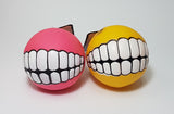 SQUEAKY SMILEY DOG BALL - In stock