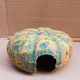 PUMPKIN HIDE FOR REPTILES AND SPIDERS - In stock