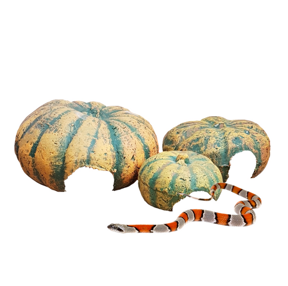 PUMPKIN HIDE FOR REPTILES AND SPIDERS - In stock