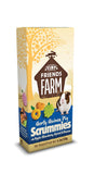 GERTY GUINEA PIG SCRUMMIES (120G) - In stock