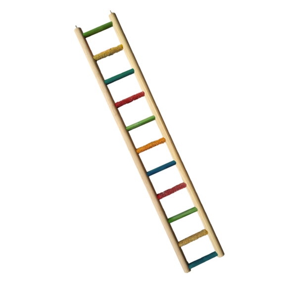 PARROT LADDER (11 STEP) - In stock
