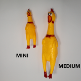 MINI SQUEAKY CHICKEN - In stock