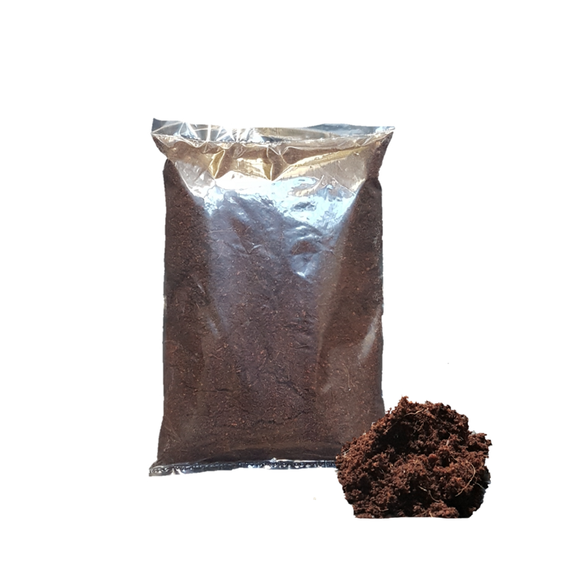 COCO PEAT - SUBSTRATE FOR SPIDERS - In Stock