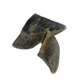 COW HOOVES 3PCS - In stock