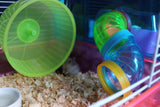 PLASTIC SOLID HAMSTER WHEEL - In Stock