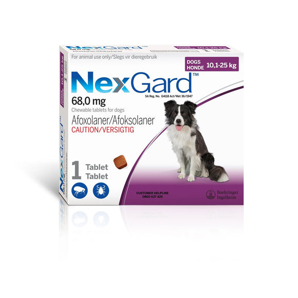 NEXGARD 10-25KG - TICK AND FLEA TREATMENT (FOR DOGS) - In stock