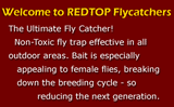 REDTOP FLYCATCHER (DISPOSABLE 5L) - In stock